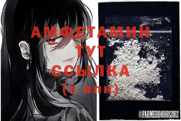 стаф Осинники