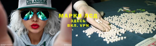 не бодяженный Алзамай
