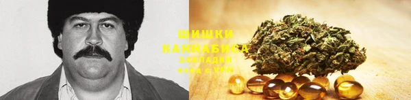 не бодяженный Осташков
