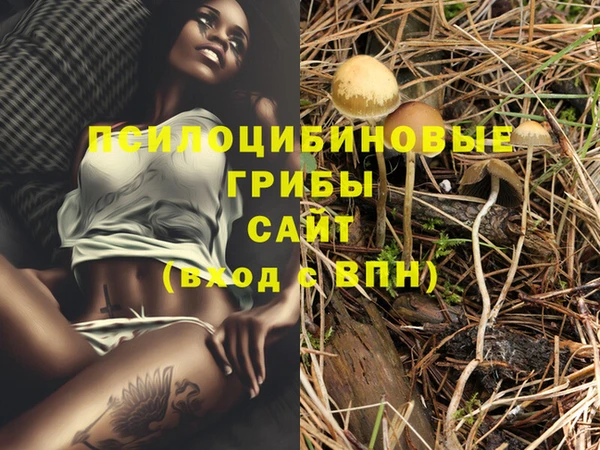 не бодяженный Алзамай