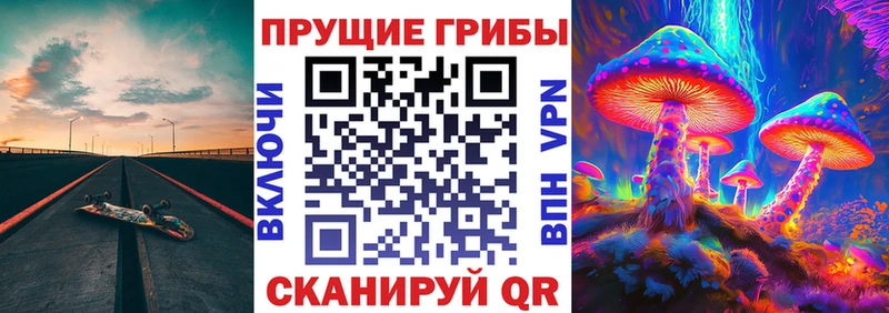 KRAKEN онион  Протвино  Галлюциногенные грибы мицелий 