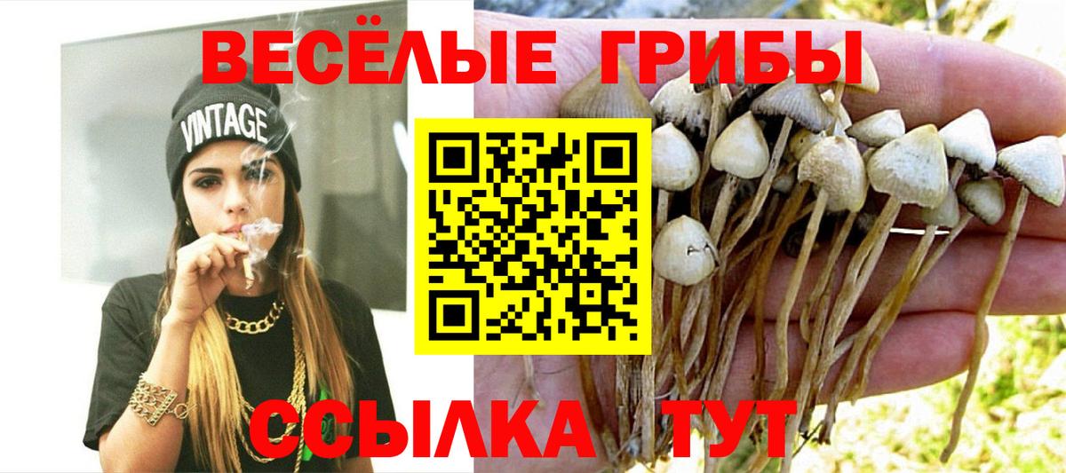 Псилоцибиновые грибы мицелий  Вход с VPN  Галлюциногенные грибы Psilocybe  Протвино 