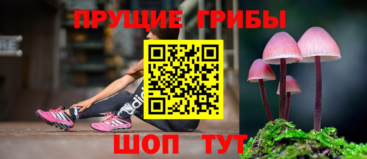 Галлюциногенные грибы MAGIC MUSHROOMS Протвино