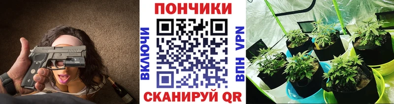 Каннабис OG Kush  Протвино 
